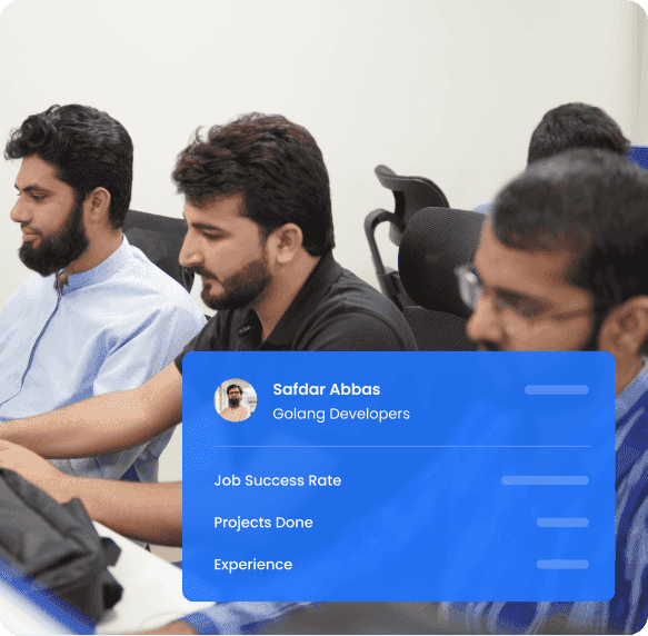 Your Project Deserves The Best Golang Developers For Hire
